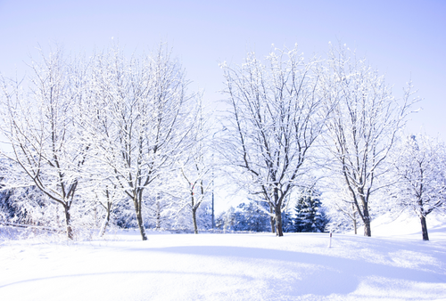 Winter Home