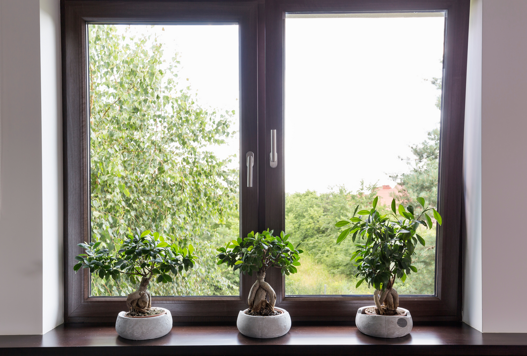 Zen