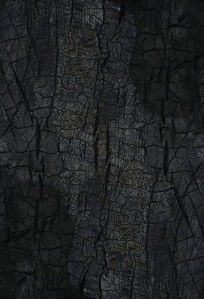 Black Bark