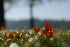 Falling