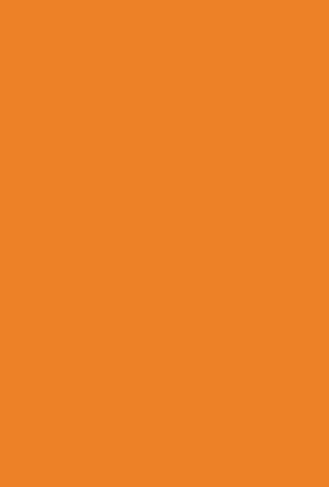 Rainbow Bold Orange