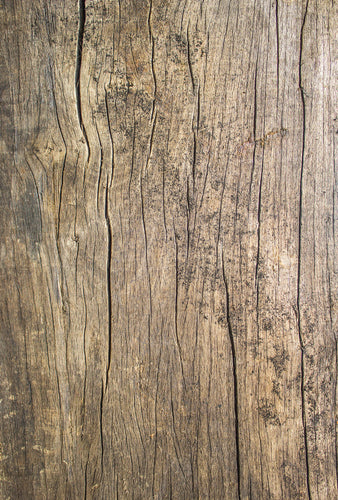 Rustic Wood Plank