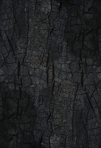 Black Bark - Single