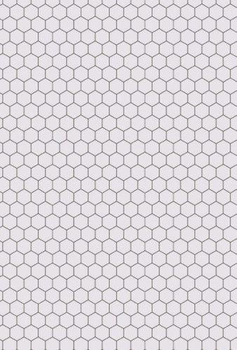 Oversized Hexagon Tiles