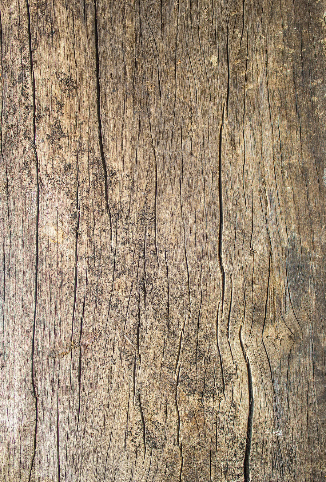 Rustic Wood Plank - Single