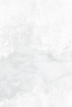 Load image into Gallery viewer, White Paint - Single